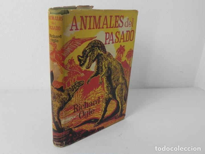 Libros de segunda mano: ANIMALES DEL PASADO (RICHARD OGLE) NEREO-1963 - Foto 1