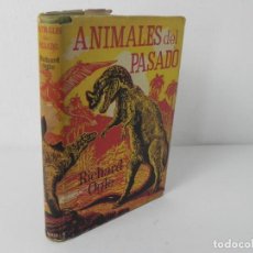 Libros de segunda mano: ANIMALES EL PASADO (RICHARD OGLE) NEREO-1963. Lote 268583574