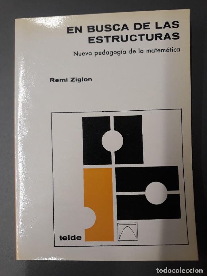 Libros de segunda mano de ciencias: ZIGLON, REMI. EN BUSCA DE LAS ESTRUCTURAS - Foto 1