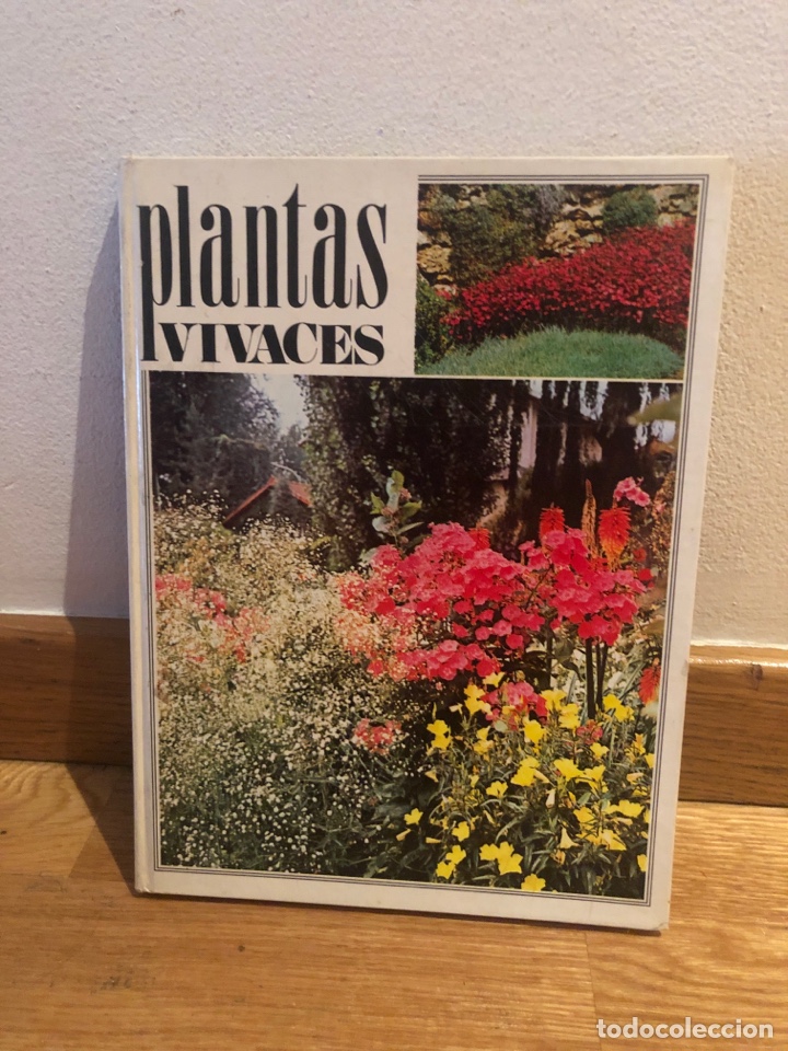 Libros de segunda mano: plantas vivaces - Foto 1