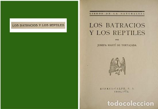 Libros de segunda mano: MARTI DE TORTAJADA, Josefa. Los Batracios y los Reptiles. 1949. - Foto 1