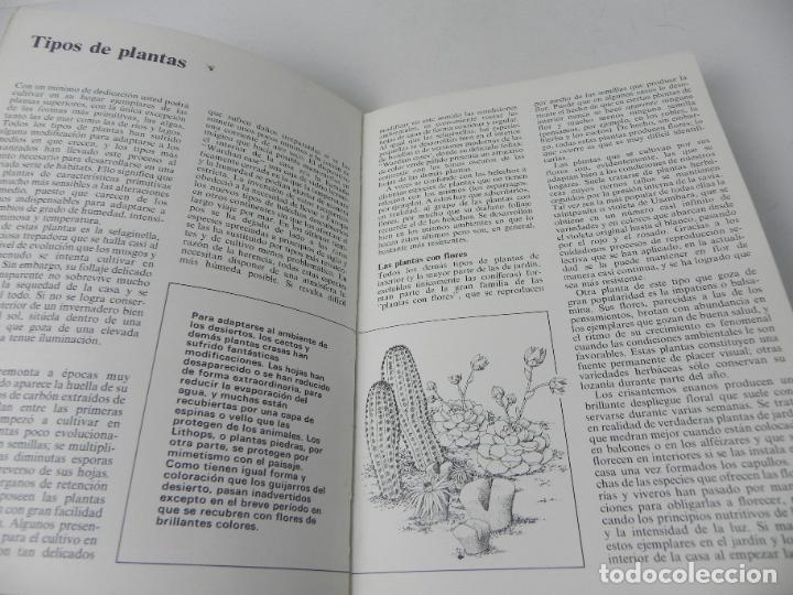 Libros de segunda mano: PLANTAS DE INTERIOR (BRIAN WARD/TOM WELLSTED) INST. PERRAM&Oacute;N-1980 - Foto 3