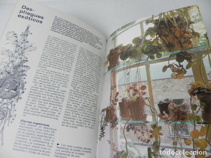 Libros de segunda mano: PLANTAS DE INTERIOR (BRIAN WARD/TOM WELLSTED) INST. PERRAM&Oacute;N-1980 - Foto 4