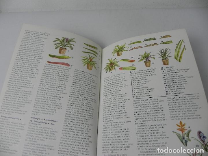 Libros de segunda mano: PLANTAS DE INTERIOR (BRIAN WARD/TOM WELLSTED) INST. PERRAM&Oacute;N-1980 - Foto 5