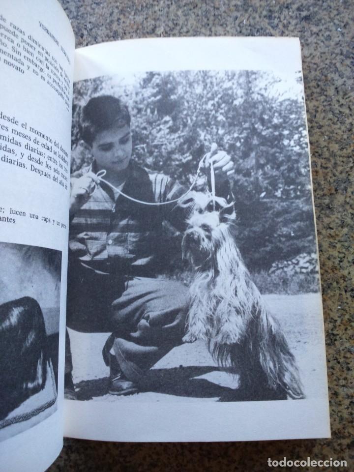 Libros de segunda mano: YORKSHIRE TERRIERS -- KERRY DONNELLY -- 1986 -- - Foto 3