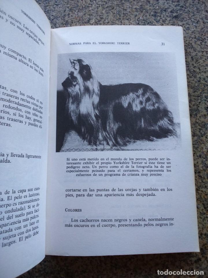 Libros de segunda mano: YORKSHIRE TERRIERS -- KERRY DONNELLY -- 1986 -- - Foto 4