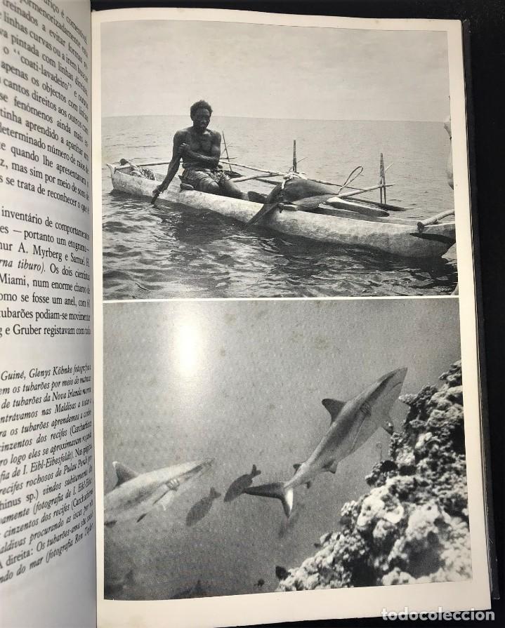 Libros de segunda mano: O Assassino dos Mares de Hans Hass - Foto 4