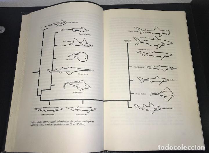 Libros de segunda mano: O Assassino dos Mares de Hans Hass - Foto 5