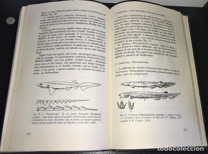 Libros de segunda mano: O Assassino dos Mares de Hans Hass - Foto 6