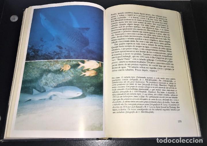 Libros de segunda mano: O Assassino dos Mares de Hans Hass - Foto 7