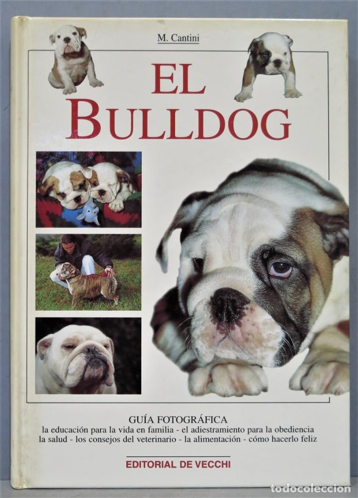 Libros de segunda mano: EL BULLDOG. CANTINI - Foto 1