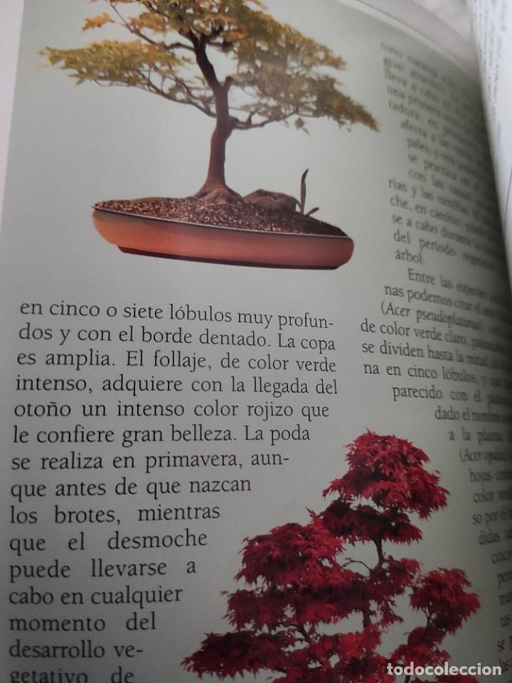 Libros de segunda mano: EL BONSAI - Foto 10