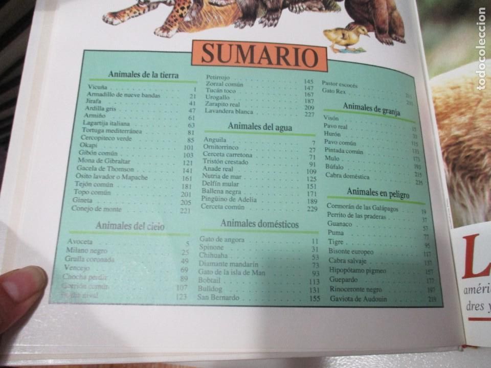 Libros de segunda mano: VV.AA. Tus amigos los cachorros (4 Tomos) W7586 - Foto 5