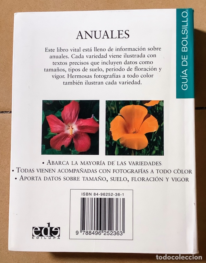 Libros de segunda mano: &ldquo;Anuales&rdquo;, Gu&iacute;a de bolsillo - Foto 2