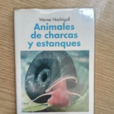Libros de segunda mano: GUIA DE LA NATURALEZA EVEREST - ANIMALES DE CHARCAS Y ESTANQUES. Lote 270152518