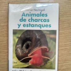 Libros de segunda mano: GUIA DE LA NATURALEZA EVEREST - ANIMALES DE CHARCAS Y ESTANQUES. Lote 270152613