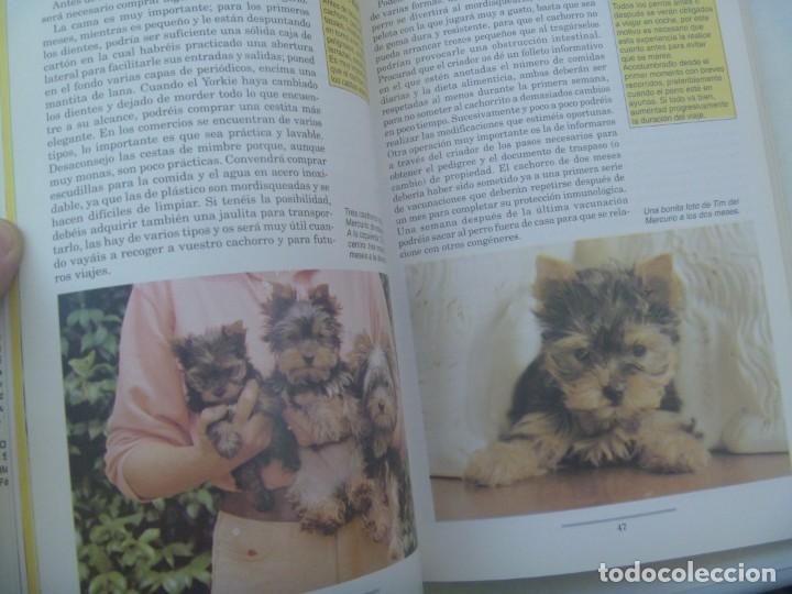 Libros de segunda mano: EL LIBRO DE EL YORKSHIRE TERRIER. DE INGRID BYLUND. EDIORIAL DRAC, 1995 - Foto 2