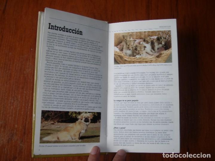 Libros de segunda mano: LIBRO RAZAS DE PERROS PEQUE&Ntilde;OS ED CUPULA JOAN PALMER - Foto 2