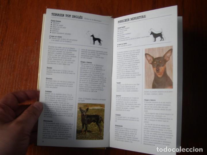 Libros de segunda mano: LIBRO RAZAS DE PERROS PEQUE&Ntilde;OS ED CUPULA JOAN PALMER - Foto 3