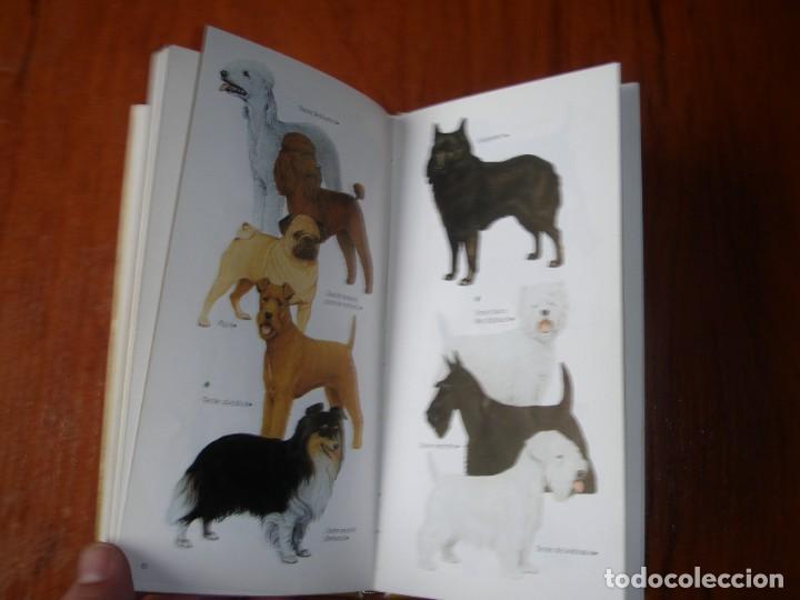 Libros de segunda mano: LIBRO RAZAS DE PERROS PEQUE&Ntilde;OS ED CUPULA JOAN PALMER - Foto 4