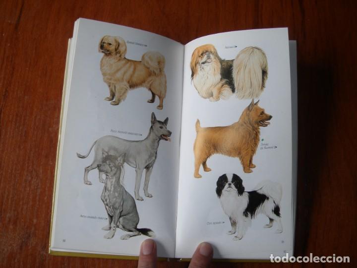 Libros de segunda mano: LIBRO RAZAS DE PERROS PEQUE&Ntilde;OS ED CUPULA JOAN PALMER - Foto 5