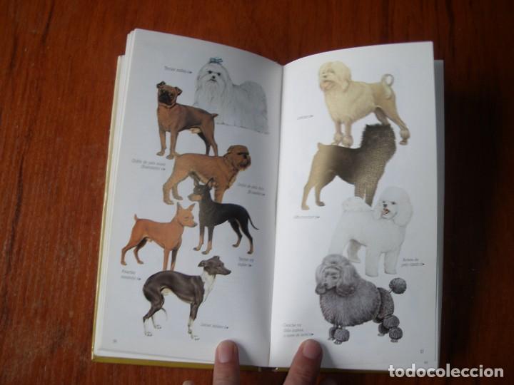 Libros de segunda mano: LIBRO RAZAS DE PERROS PEQUE&Ntilde;OS ED CUPULA JOAN PALMER - Foto 6