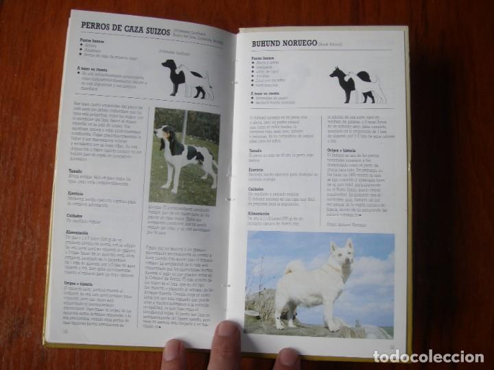 Libros de segunda mano: LIBRO RAZAS DE PERROS PEQUE&Ntilde;OS ED CUPULA JOAN PALMER - Foto 7