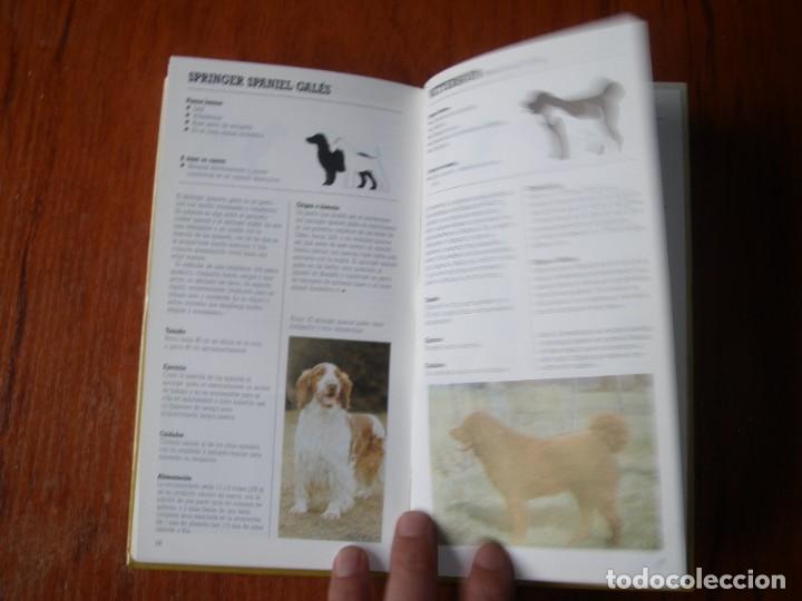 Libros de segunda mano: LIBRO RAZAS DE PERROS PEQUE&Ntilde;OS ED CUPULA JOAN PALMER - Foto 8