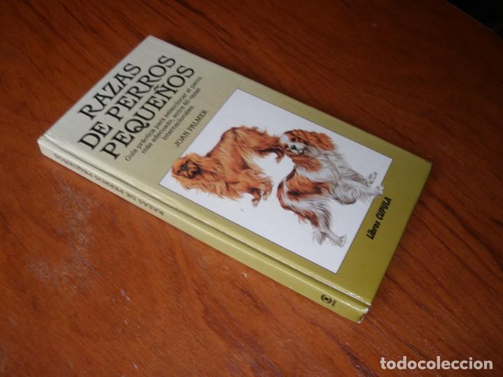 Libros de segunda mano: LIBRO RAZAS DE PERROS PEQUE&Ntilde;OS ED CUPULA JOAN PALMER - Foto 10