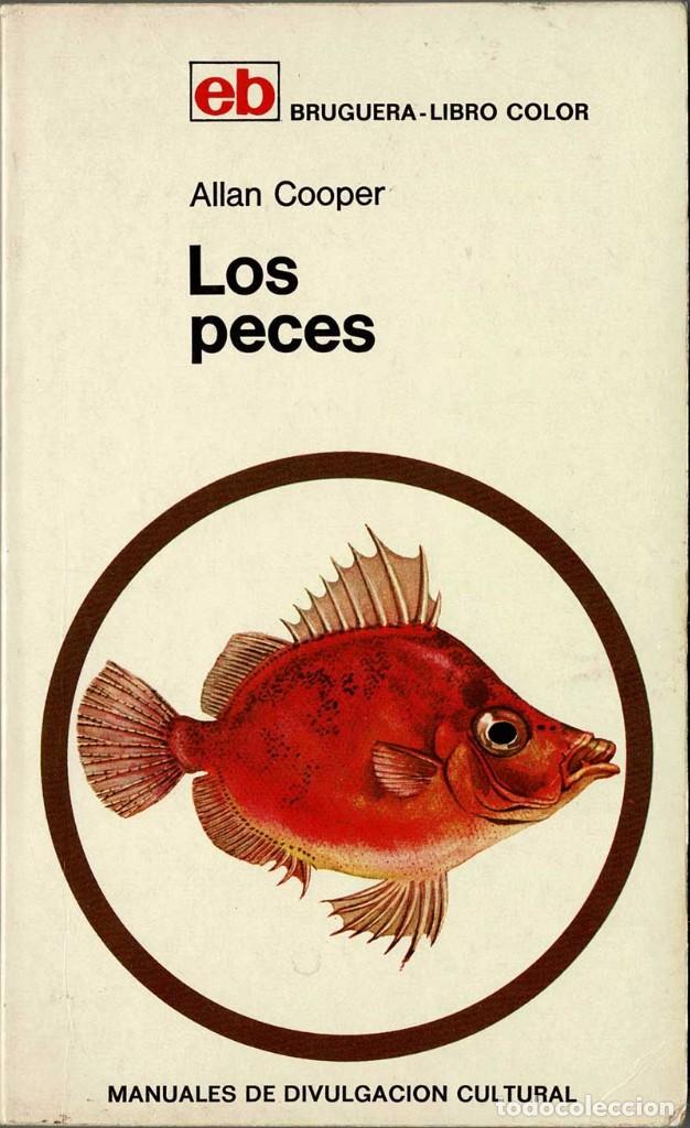 Libros de segunda mano: Los Peces - Allan Cooper - Foto 1