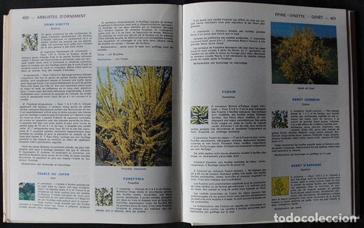 Libros de segunda mano: GUIDE CLAUSE - TRATADO PRACTICO DE JARDINERIA - EN FRANCES - - Foto 2