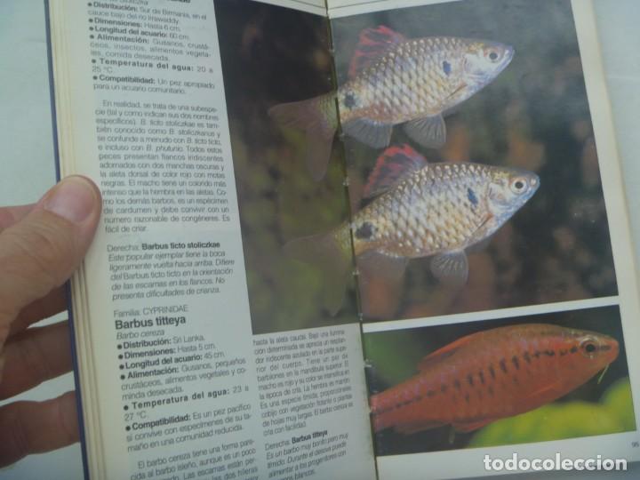 Libros de segunda mano: EL LIBRO DE TODO EL ACUARIO. EDIORIAL DRAC, 1995 - Foto 2