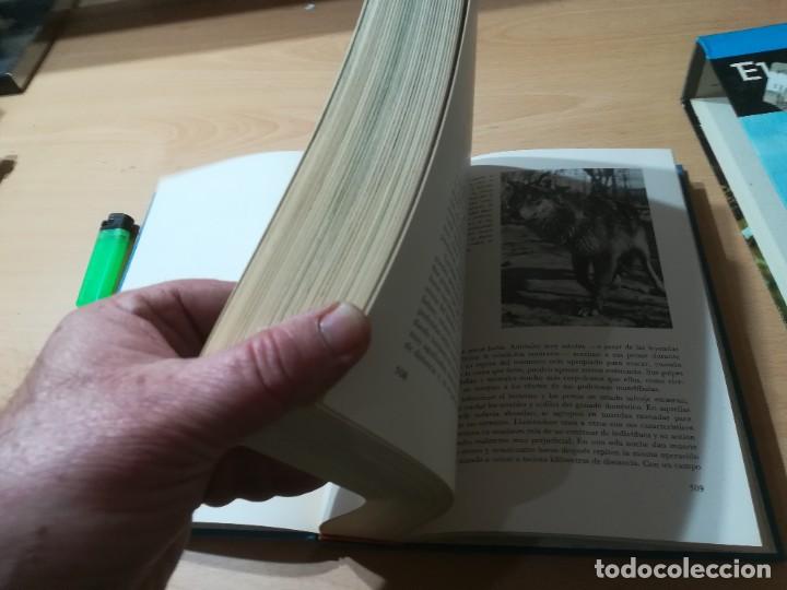 Libros de segunda mano: EL MUNDO VIVIENTE / A JONCH / DANAE / AG35 - Foto 8