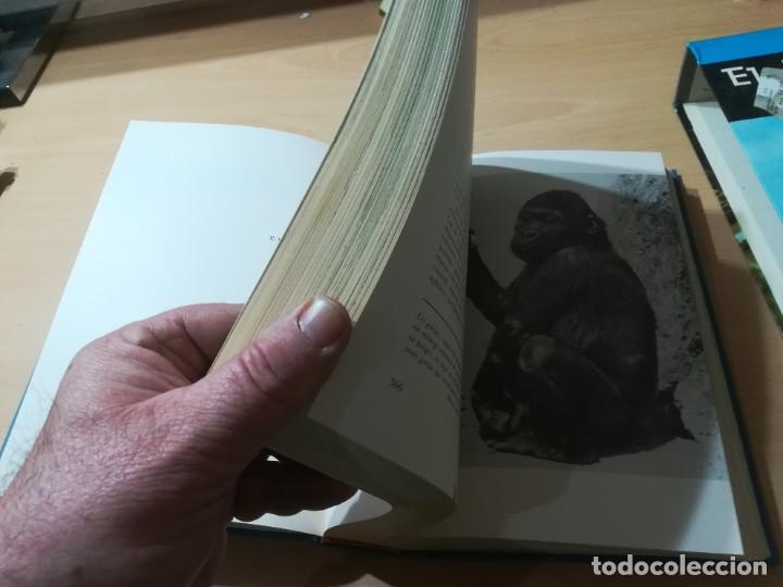 Libros de segunda mano: EL MUNDO VIVIENTE / A JONCH / DANAE / AG35 - Foto 10