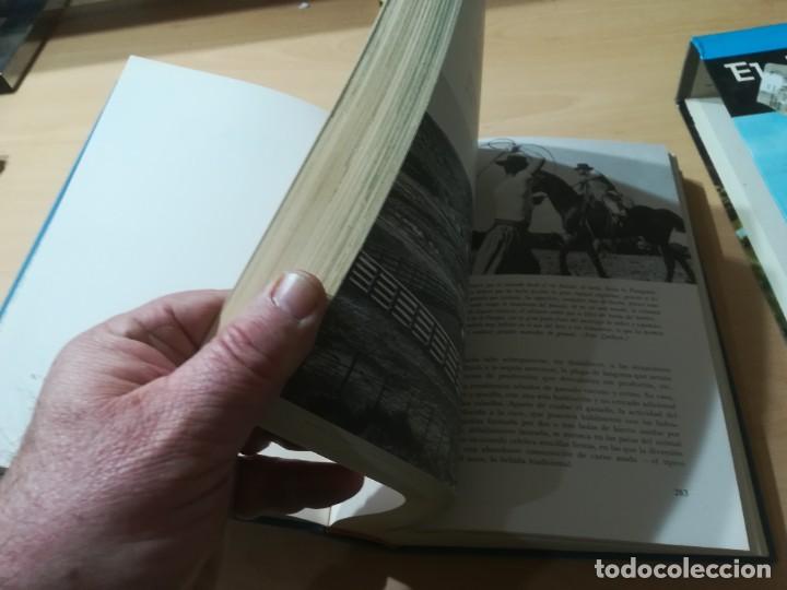 Libros de segunda mano: EL MUNDO VIVIENTE / A JONCH / DANAE / AG35 - Foto 12