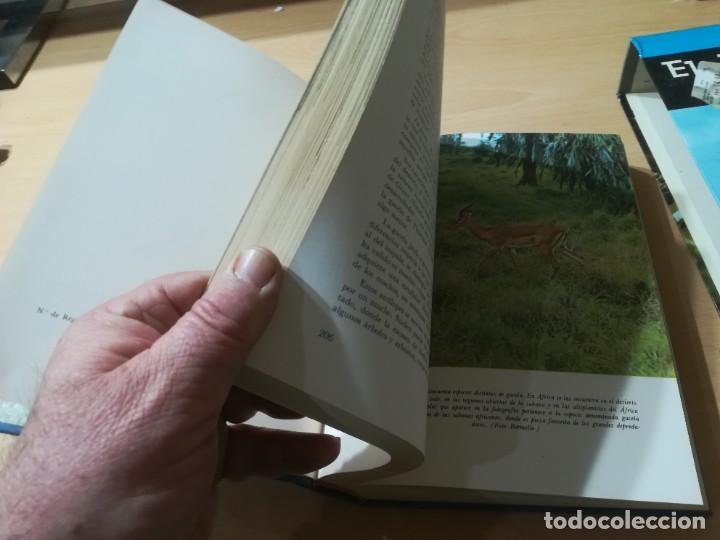 Libros de segunda mano: EL MUNDO VIVIENTE / A JONCH / DANAE / AG35 - Foto 13