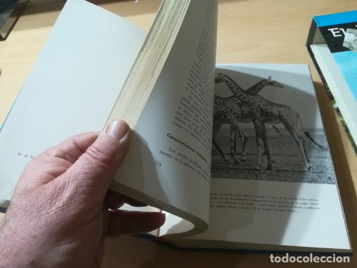 Libros de segunda mano: EL MUNDO VIVIENTE / A JONCH / DANAE / AG35 - Foto 14