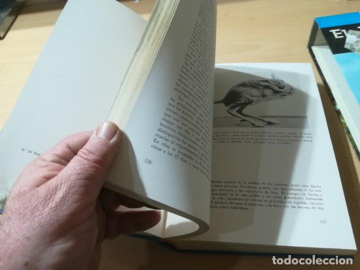 Libros de segunda mano: EL MUNDO VIVIENTE / A JONCH / DANAE / AG35 - Foto 15
