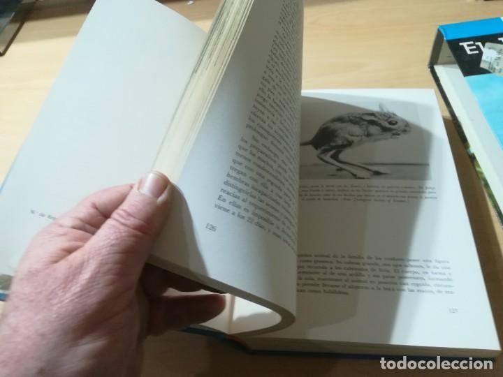 Libros de segunda mano: EL MUNDO VIVIENTE / A JONCH / DANAE / AG35 - Foto 16