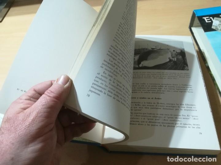 Libros de segunda mano: EL MUNDO VIVIENTE / A JONCH / DANAE / AG35 - Foto 17