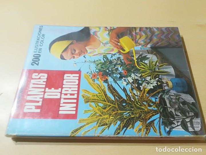 Libros de segunda mano: PLANTAS DE INTERIOR / G KROMDIJK / AYMA / AI69 - Foto 1