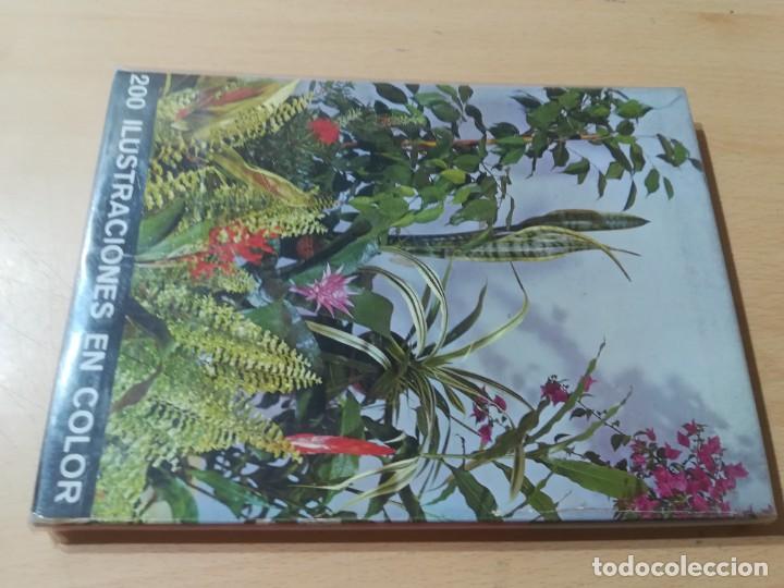 Libros de segunda mano: PLANTAS DE INTERIOR / G KROMDIJK / AYMA / AI69 - Foto 2