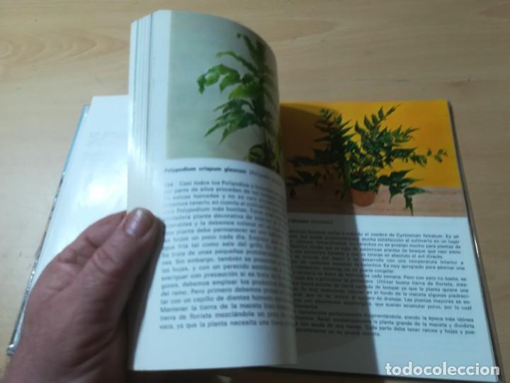 Libros de segunda mano: PLANTAS DE INTERIOR / G KROMDIJK / AYMA / AI69 - Foto 6