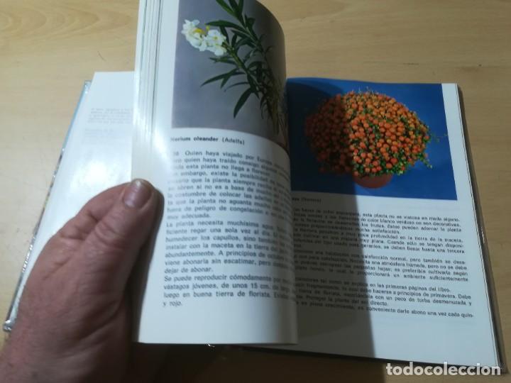 Libros de segunda mano: PLANTAS DE INTERIOR / G KROMDIJK / AYMA / AI69 - Foto 7