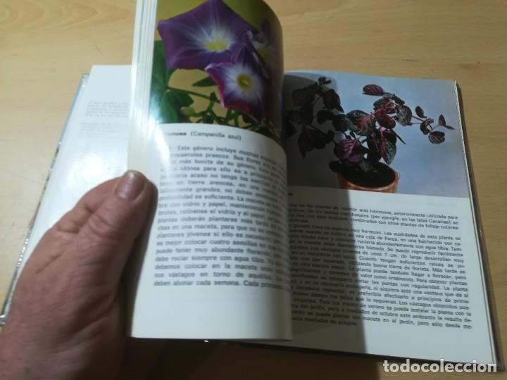Libros de segunda mano: PLANTAS DE INTERIOR / G KROMDIJK / AYMA / AI69 - Foto 8
