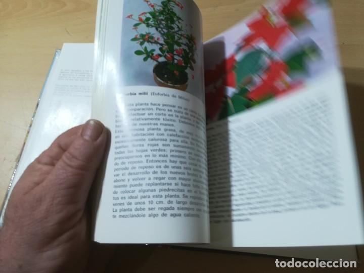 Libros de segunda mano: PLANTAS DE INTERIOR / G KROMDIJK / AYMA / AI69 - Foto 9