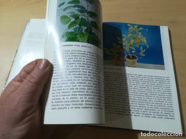 Libros de segunda mano: PLANTAS DE INTERIOR / G KROMDIJK / AYMA / AI69 - Foto 10