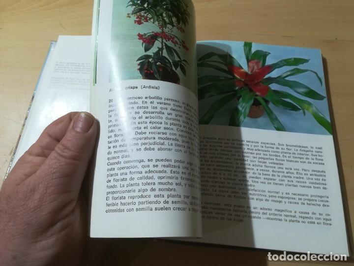 Libros de segunda mano: PLANTAS DE INTERIOR / G KROMDIJK / AYMA / AI69 - Foto 11