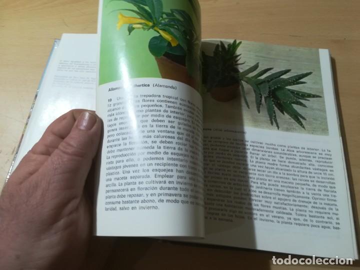 Libros de segunda mano: PLANTAS DE INTERIOR / G KROMDIJK / AYMA / AI69 - Foto 12