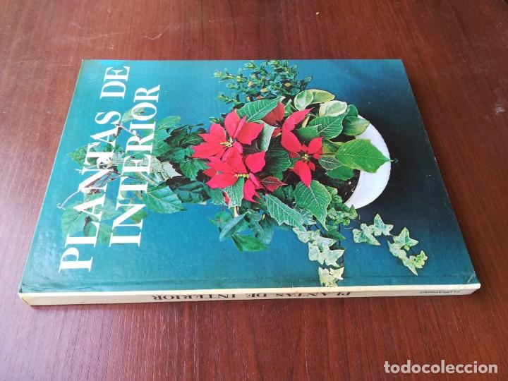 Libros de segunda mano: PLANTAS DE INTERIOR / BLUME / ROBERTO GUILLEN / CJA86-95 - Foto 1